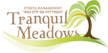 Anglo Meditation Workshop for Stress & Well-being
